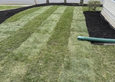 Green Day Landscape Maintenance