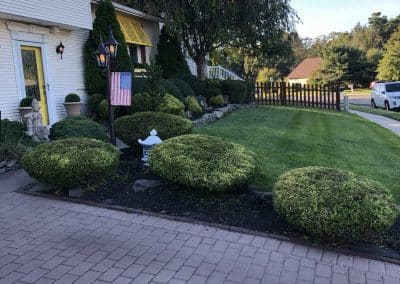 Green Day Landscape Maintenance