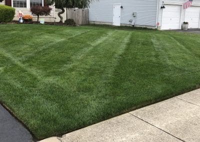 Green Day Landscape Maintenance